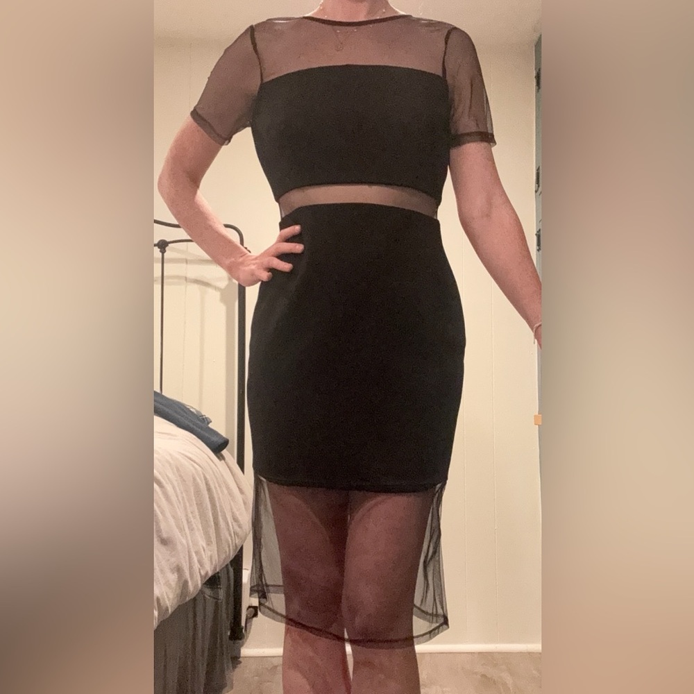 Elegant Black Sheer Skirt